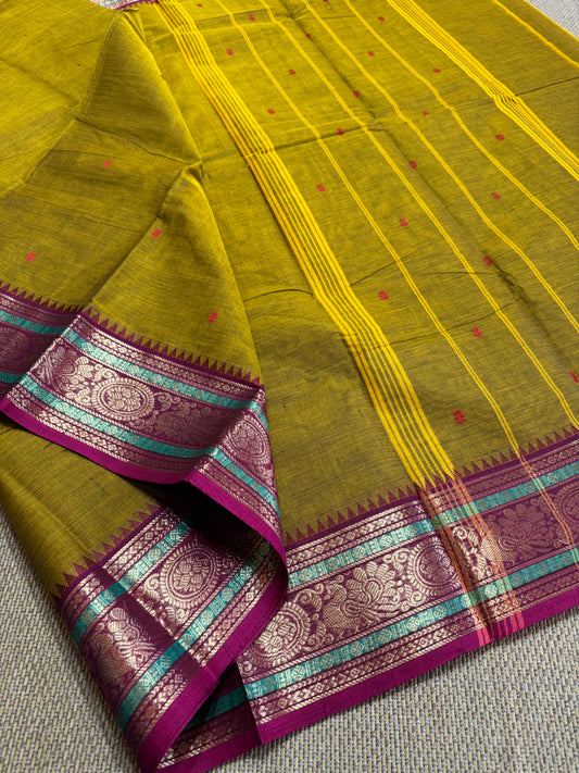 south cotton saree