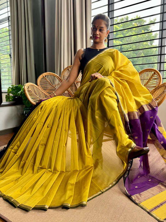 Classic Maheswar silk cotton saree