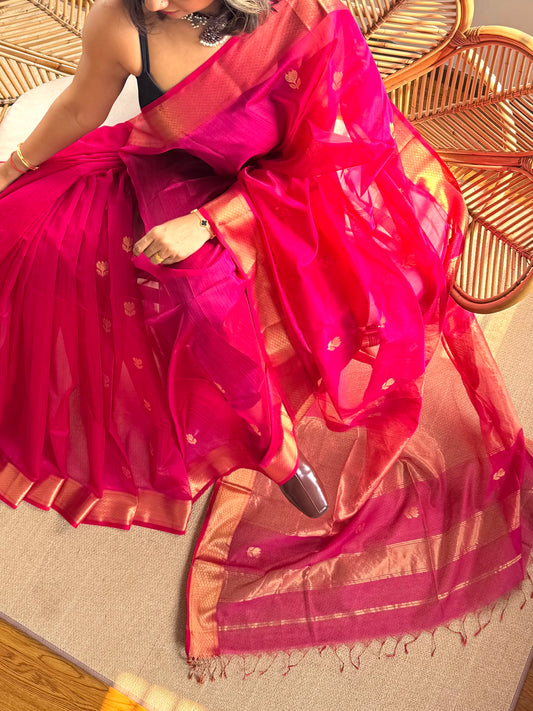 Classic Maheswar silk cotton saree