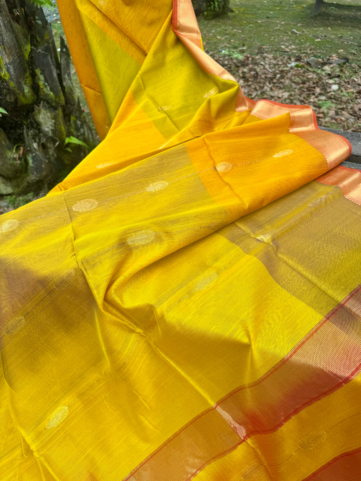 Shaded ❤️Maheswar silk cotton saree with zari border