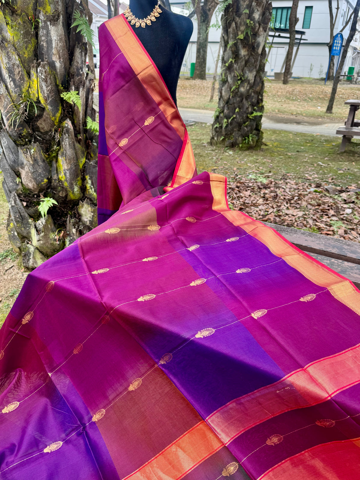 Shaded ❤️Maheswar silk cotton saree with zari border